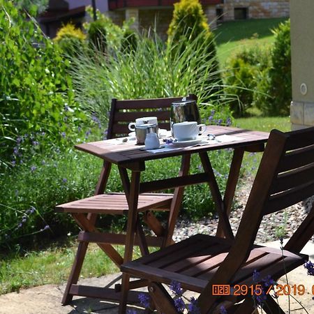 Apartament Parkowa Polana Z Ogrodem Apartment Polanica-Zdroj Luaran gambar