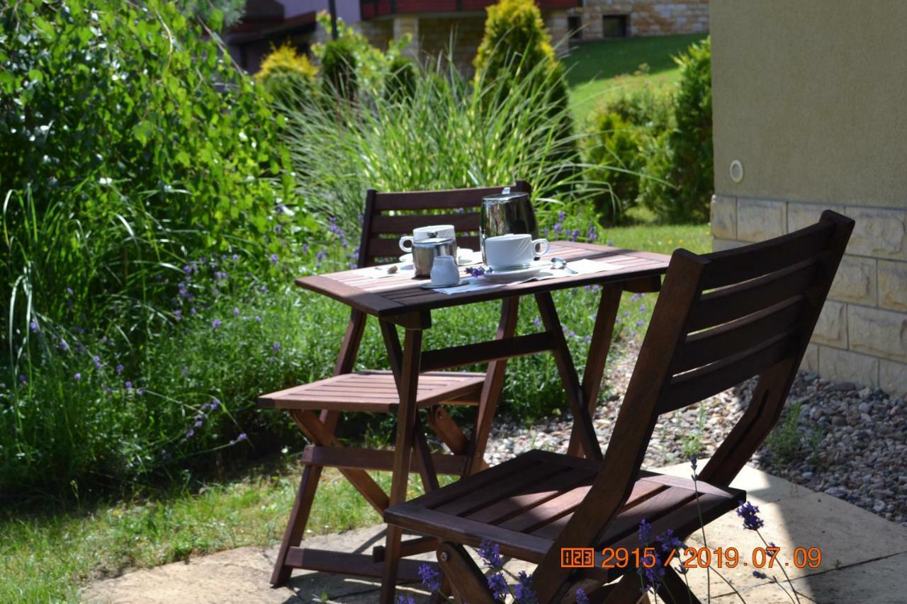 Apartament Parkowa Polana Z Ogrodem Apartment Polanica-Zdroj Luaran gambar