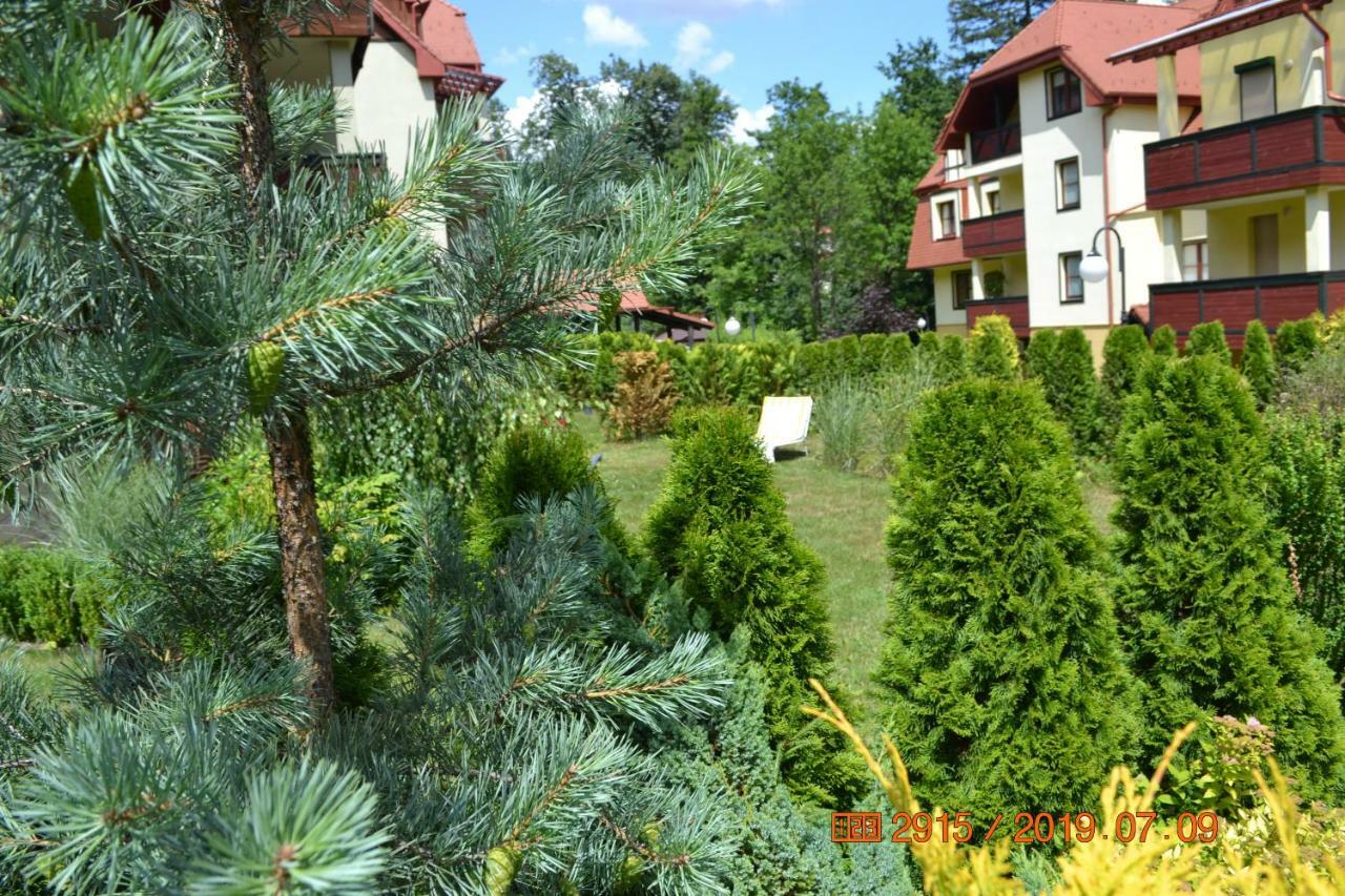 Apartament Parkowa Polana Z Ogrodem Apartment Polanica-Zdroj Luaran gambar