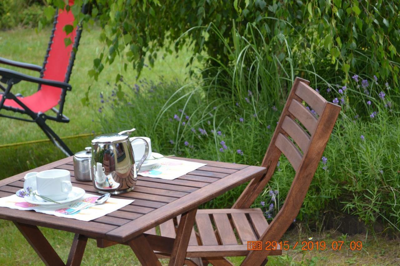 Apartament Parkowa Polana Z Ogrodem Apartment Polanica-Zdroj Luaran gambar